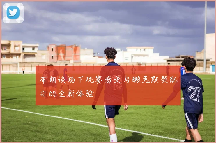 布朗谈场下观赛感受与獭兔默契配合的全新体验