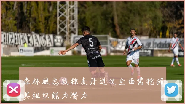 森林狼总裁称麦丹进攻全面需挖掘其组织能力潜力