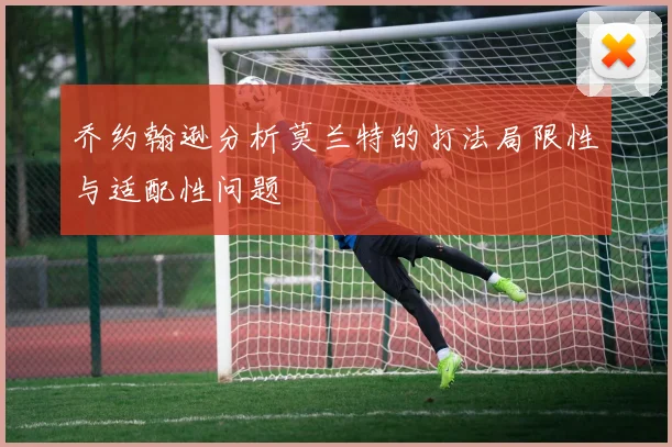 乔约翰逊分析莫兰特的打法局限性与适配性问题