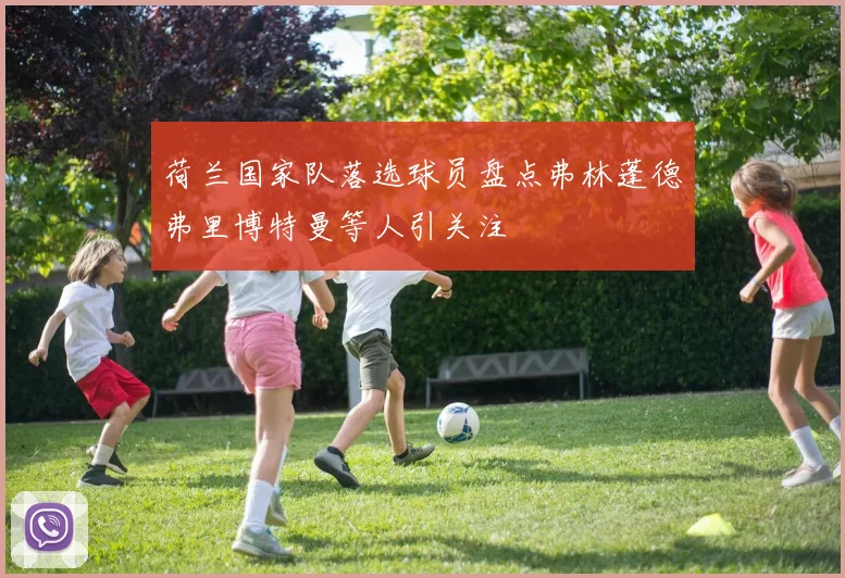 荷兰国家队落选球员盘点弗林蓬德弗里博特曼等人引关注
